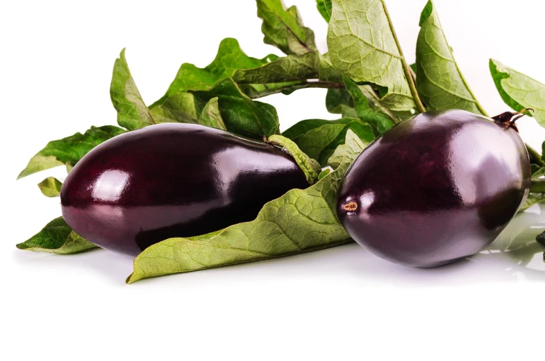 two eggplants with leaves on a white surface, pixabay, olives, istockphoto, hasbulla magomedov, rocket