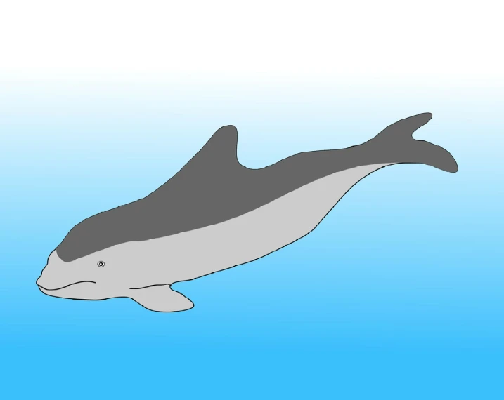 a drawing of a dolphin swimming in the ocean, an illustration of, by Taiyō Matsumoto, trending on pixabay, side pose, gray color, background(solid), young adult male