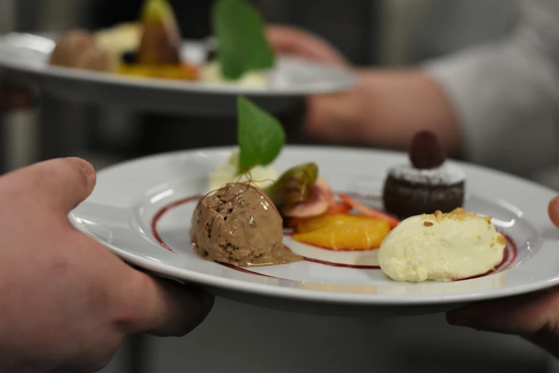 a close up of a person holding a plate of food, a picture, cg society contest winner, desserts, chefs table, dinner is served, gradins view