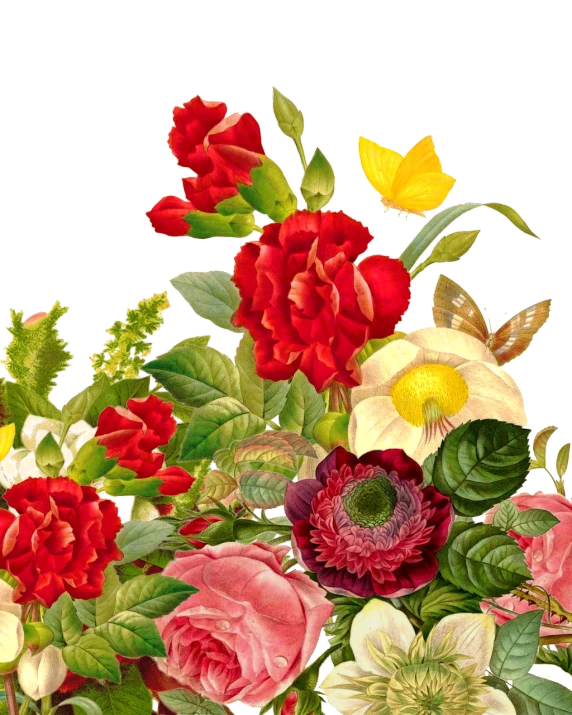 a bouquet of flowers sitting on top of a table, a digital rendering, inspired by Balthasar van der Ast, romanticism, black and yellow and red scheme, detail, cut and paste collage, aubrey powell