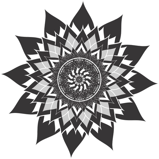 a black and white flower on a black background, a stipple, by Russell Patterson, sacred geometry pattern, yantra, black sun, medium poly