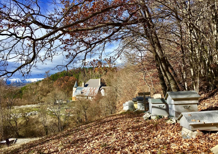 a group of benches sitting on top of a leaf covered hillside, by Hristofor Žefarović, the graveyard!!, barn in the background, hives, iphone photo