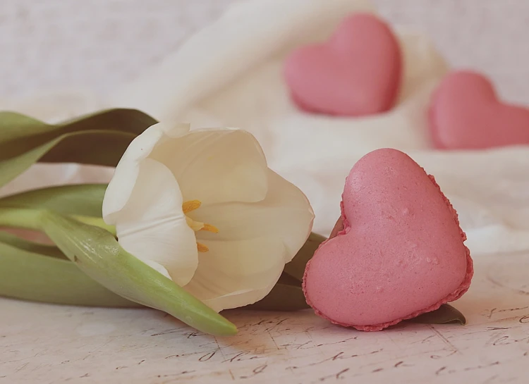 a pink heart shaped cookie next to a white tulip, a pastel, tumblr, romanticism, foto, cad, macaron, close photo