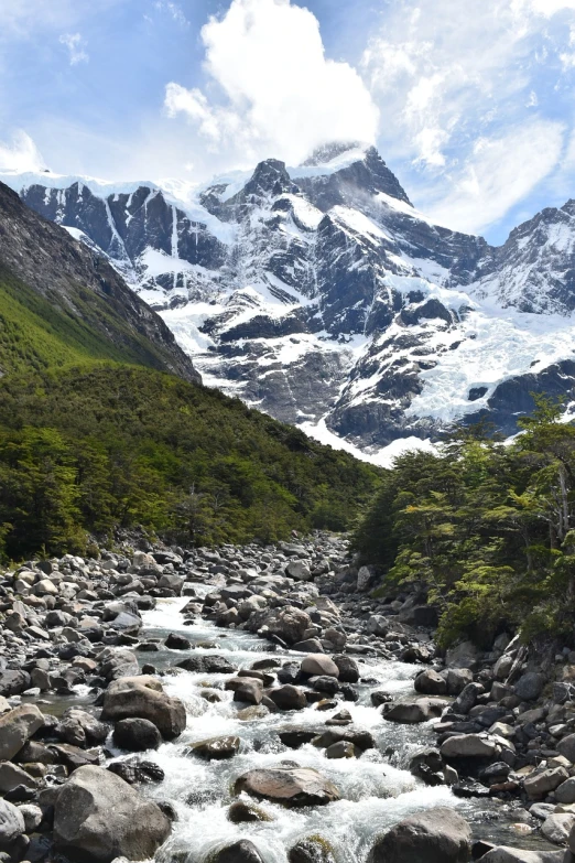 a river running through a lush green valley, a portrait, by Alexander Robertson, shutterstock, with a snowy mountain and ice, tall big rocks, andes mountain forest, victoria