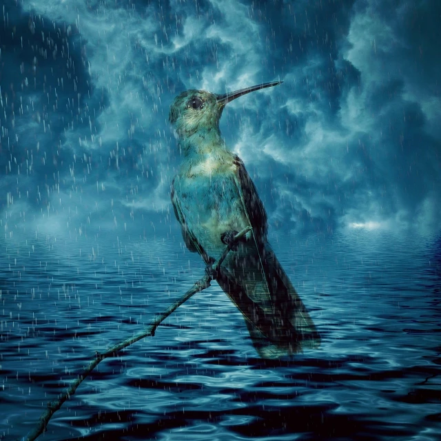 a bird that is sitting on a branch in the water, inspired by Arnold Böcklin, digital art, it\'s raining, water art manipulation, when kindness falls like rain, painting of a hummingbird