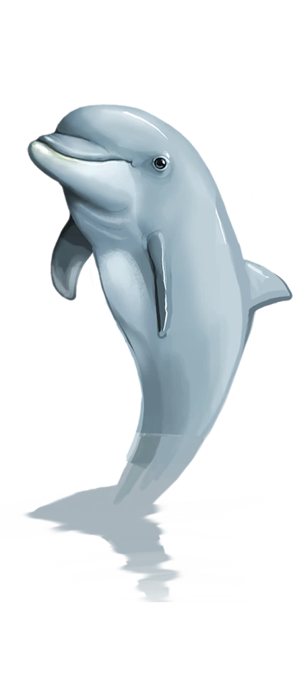 a dolphin that is jumping in the air, a digital painting, polycount, ( ( dithered ) ), bottom - view, mspaint, round jaw