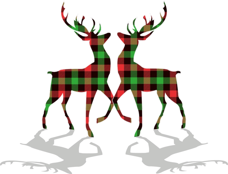 a couple of deer standing next to each other, a digital rendering, folk art, tartan garment, !!! very coherent!!! vector art, reflection, flash photo