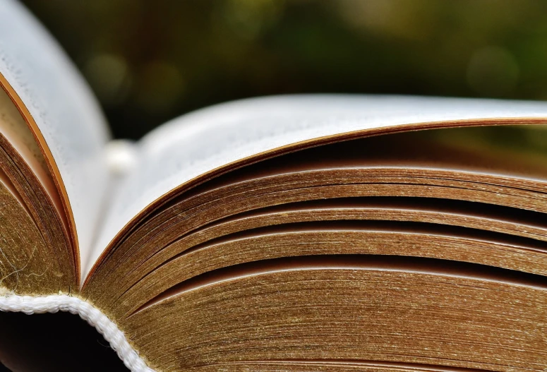 an open book sitting on top of a table, a macro photograph, banner, detailed and intricate image, profile shot, close up photo