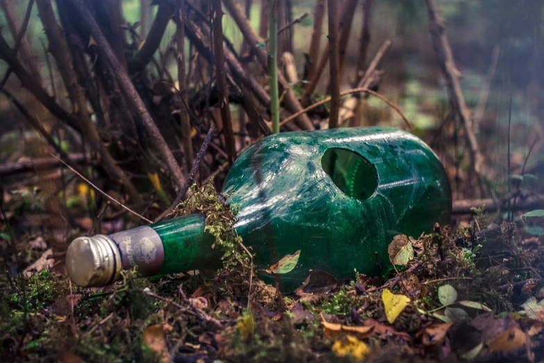 a green bottle sitting in the middle of a forest, a portrait, by Adam Marczyński, shutterstock, the mask is broken, miscellaneous objects, wine, lost place photo