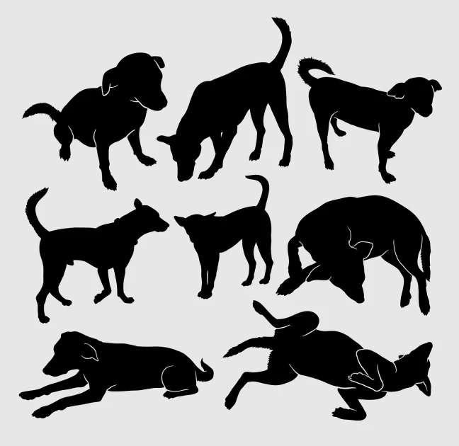 a set of black silhouettes of dogs on a white background, pixabay, figuration libre, on a gray background, laying on their back, clean cel shaded vector art, cel shaded vector art