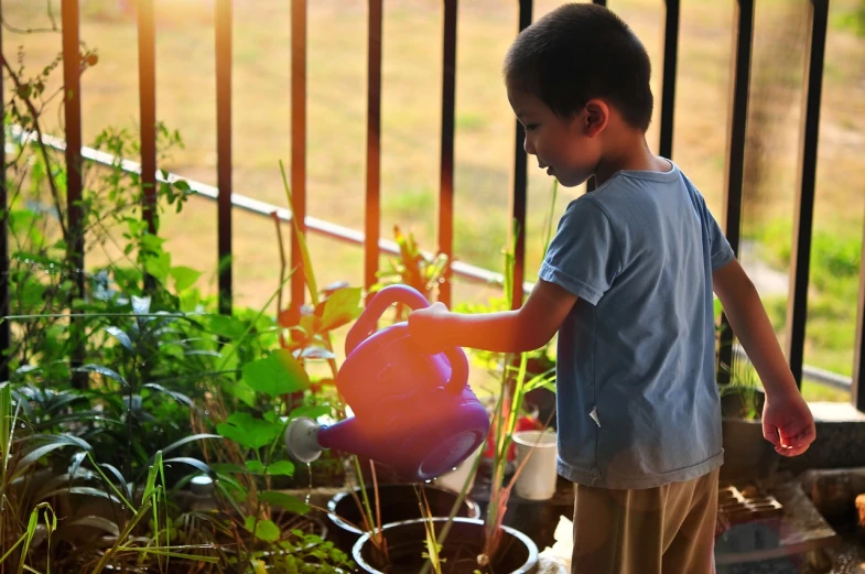 a young boy holding a pink watering can, pixabay, tending on pinterest, high res photo, looking outside, hydroponic farms