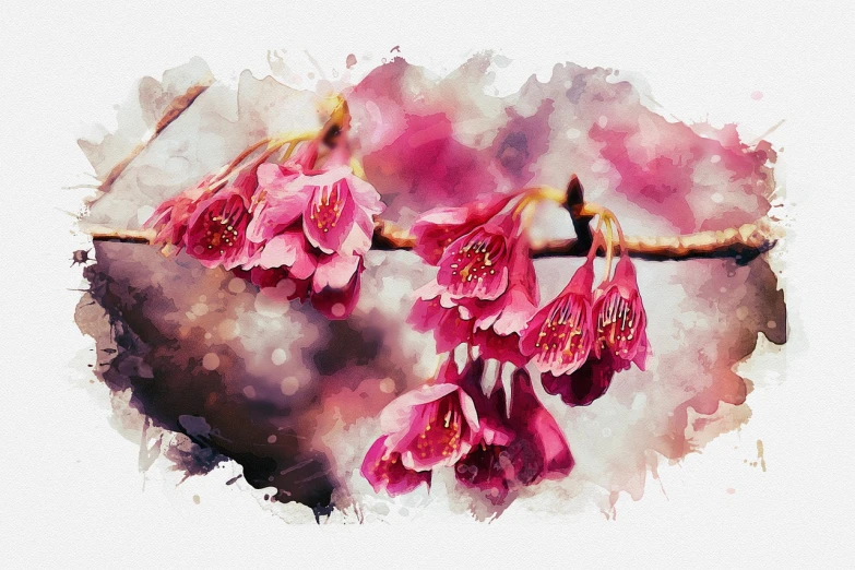 a watercolor painting of pink flowers on a branch, a digital painting, inspired by Ryōhei Koiso, trending on pixabay, intricate and wet oil paint, cherry explosion, stylized photo, early spring