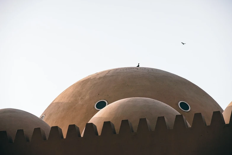 a bird is sitting on top of a building, by Youssef Howayek, mingei, smooth rounded shapes, an amusement park in old egypt, rounded face, sandworm