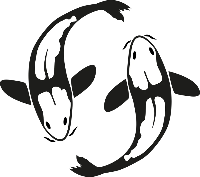 two black and white koi fish swimming in a circle, a cartoon, inspired by Taro Okamoto, pixabay, conceptual art, halloween wallpaper with ghosts, killer whale, lineless, computer - generated
