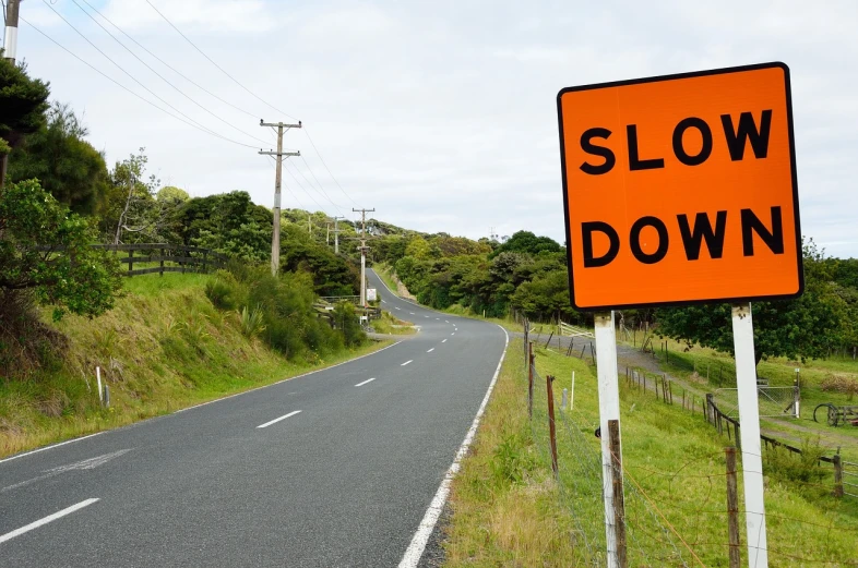 a slow down sign on the side of a road, by Matt Stewart, shutterstock, new zealand, screengrab, menacing!, got shut down