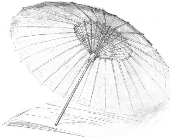 a drawing of an umbrella on a table, a pencil sketch, inspired by Kanō Mitsunobu, bamboo, (extremely detailed, circular, computer - generated