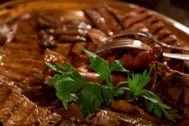 a close up of a plate of food with meat and vegetables, a portrait, renaissance, lomo saltado, dimly lit, 🦩🪐🐞👩🏻🦳, low detail