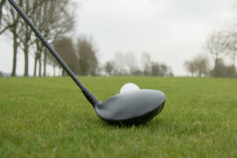 a golf club sitting on top of a lush green field, pixabay, cobra, smooth oval head, dynamic low angle shot, black quick, spoon placed