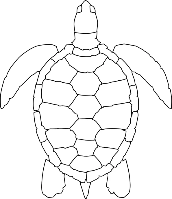 a white turtle on a black background, lineart, pixabay, sea, plan, template, turtle shell