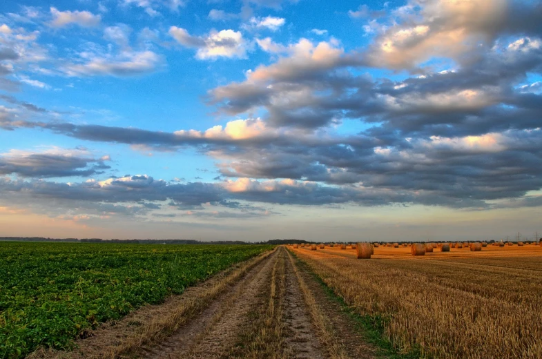 a field with hay bales under a cloudy sky, a picture, flickr, precisionism, dirt road background, mobile wallpaper, rows of lush crops, late summer evening