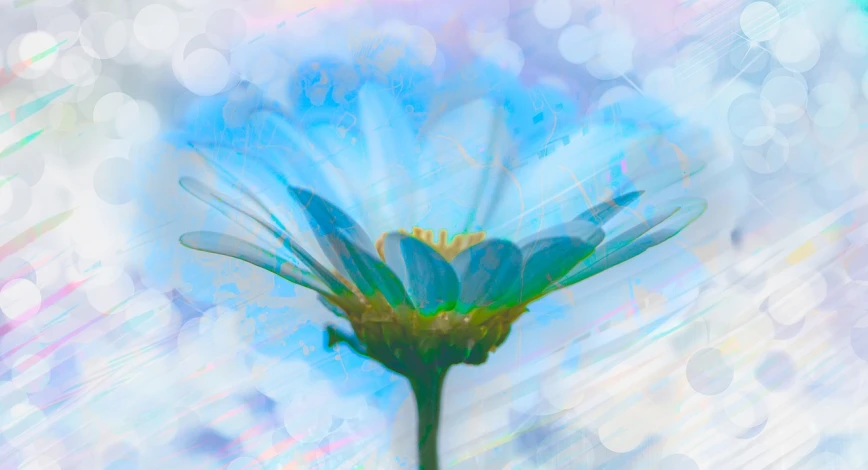 a close up of a flower with a blurry background, a digital painting, by Jan Rustem, art photography, in the white clouds fairyland, relaxed. blue background, daisy, psychedelic and glittering