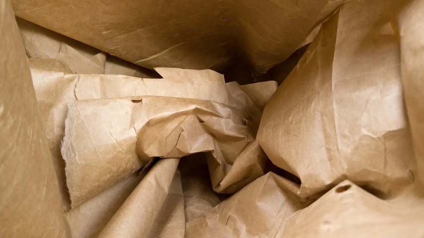 a close up of a brown paper bag, by Thomas Häfner, process art, taken with my nikon d 3, cardboard tunnels, tessellated planes of rock, unimaginably huge