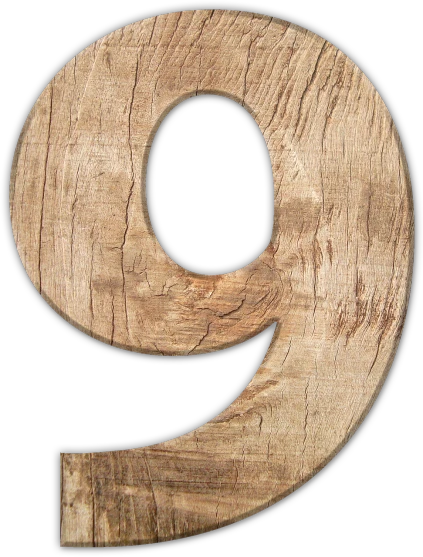 a wooden number nine on a black background, a stock photo, by Bob Ringwood, pixabay, dada, nineteenth century, bark, server, etsy