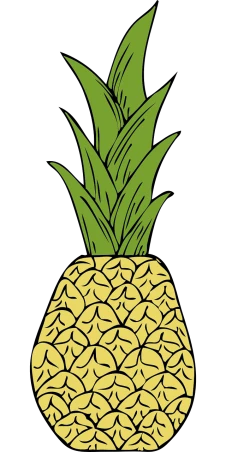 a pineapple on a black background, an illustration of, by Jesse Richards, comic illustration, banner, full colour, view from bottom to top