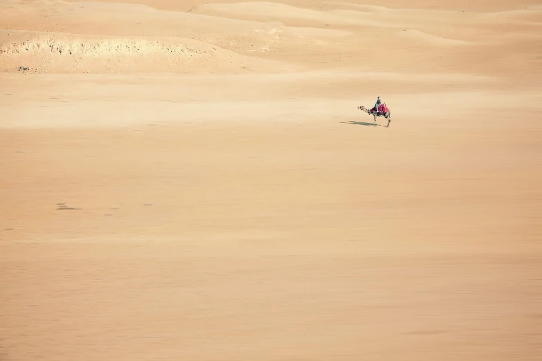 a person riding a horse in the desert, by Etienne Delessert, flickr, minimalism, tuareg, speeder, sandy colours, busy but lonely