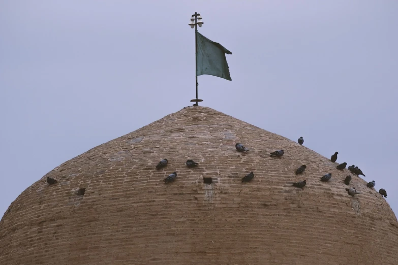 a group of pigeons sitting on top of a building, by Kamāl ud-Dīn Behzād, flickr, flooded ancient tower, flag, 2 4 mm iso 8 0 0, dome