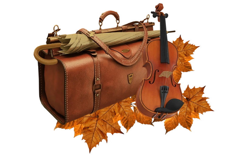 a violin and a violin case sitting next to each other, a screenshot, by Eugeniusz Zak, pixabay, orange and brown leaves for hair, leather clothing, briefcase, adventurer