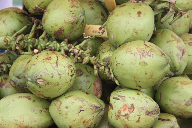 a close up of a bunch of green coconuts, by Edward Corbett, hurufiyya, pig, cambodia, closeup photo