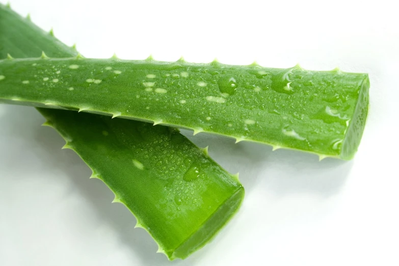 two pieces of aloe vera on a white surface, a picture, istockphoto, rain, caesar, skin spikes