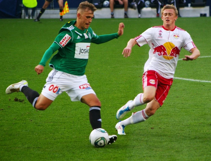 a couple of men playing a game of soccer, a photo, by Christen Dalsgaard, flickr, soccer player timo werner, green and white, joel fletcher, leading a battle