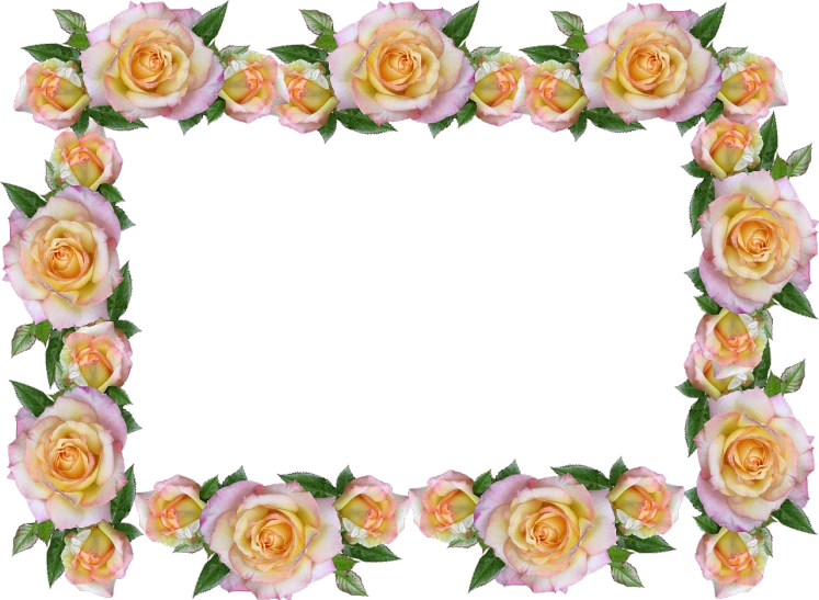 a frame made up of pink and yellow roses, a digital rendering, flickr, the background is black, 4k high res, jasmine, borders