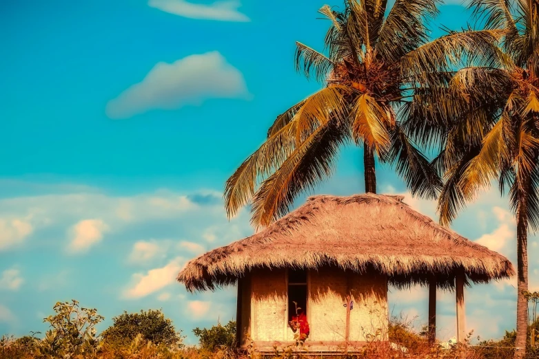 a hut with a thatched roof surrounded by palm trees, a tilt shift photo, shutterstock, sumatraism, background image, there is blue sky, 70s photo, cambodia