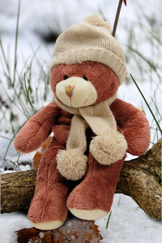 a teddy bear sitting on a tree branch in the snow, trending on pixabay, hurufiyya, caracter with brown hat, with a hurt expression, childrens toy, brown and cream color scheme