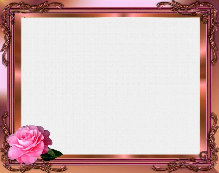 a picture frame with a pink rose on it, romanticism, wide screenshot, rose gold, large portrait, template