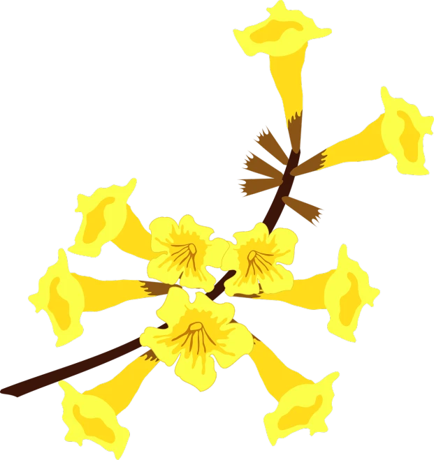 a bunch of yellow flowers on a black background, an illustration of, inspired by Masamitsu Ōta, conceptual art, joyous trumpets, full color illustration, plumeria, computer - generated