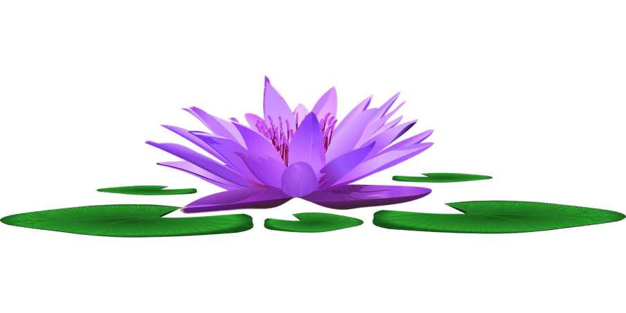 a purple flower sitting on top of a green leaf, a raytraced image, hurufiyya, water lilies, animated still, side view, black light