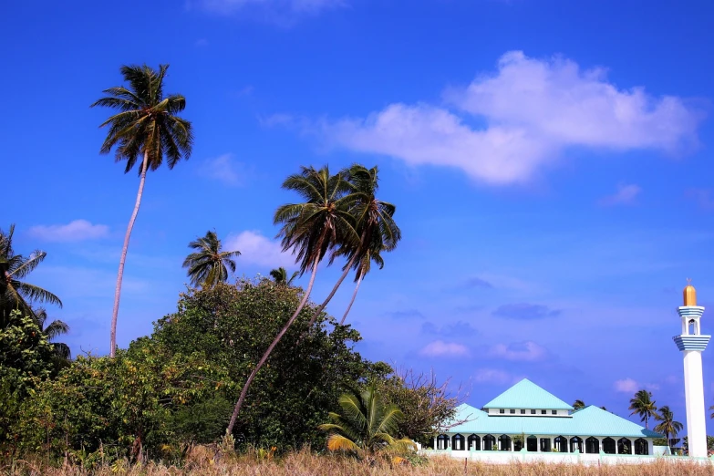 a white and blue building surrounded by palm trees, by Bernardino Mei, flickr, hurufiyya, sri lankan landscape, afar, kuntilanak on bayan tree, postprocessed)