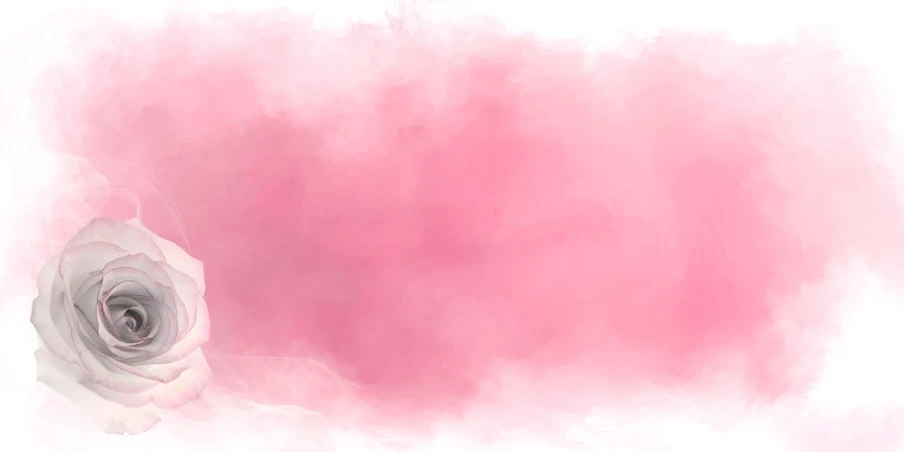 a watercolor painting of a white rose on a pink background, a digital painting, shutterstock, graffiti _ background ( smoke ), blurred and dreamy illustration, red fog, 8k vertical wallpaper