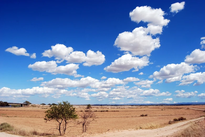 a dirt road running through a dry grass field, by Lucebert, flickr, minimalism, prismatic cumulus clouds, in the australian desert, viewed from a distance, trees. wide view
