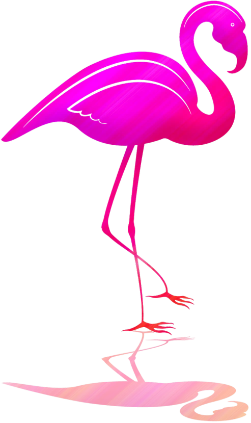 a pink flamingo standing on top of a body of water, a digital rendering, by Pamela Drew, pixabay, neon pink and black color scheme, no gradients, vibrant.-h 704, skinny