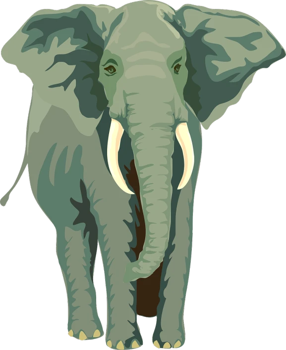 an elephant standing in front of a white background, vector art, by Matt Stewart, pixabay, hurufiyya, green mane, digital art - w 640, long necks, full color illustration