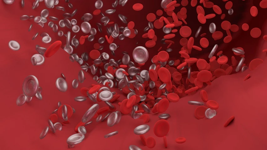 a bunch of red and white circles on a red surface, pexels, digital art, blood cells, detailed 3 d render, flowing blood-red colored silk, red and grey only