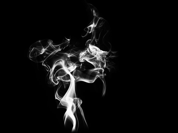 a close up of smoke on a black background, a black and white photo, pexels, fine art, nicolas delort, spiritual abstract forms, smoking weed, stylized illustration