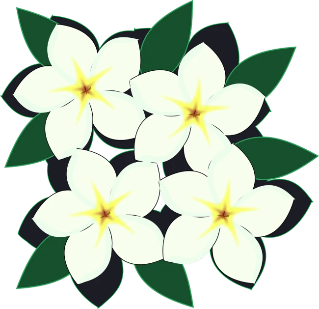 a bunch of white flowers with green leaves, an illustration of, pixabay, plumeria, four, the background is black, full color illustration