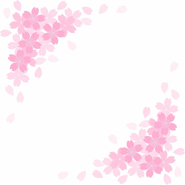 a picture of some pink flowers on a white background, a picture, sōsaku hanga, background(solid), cherry blossom falling, corners, background image