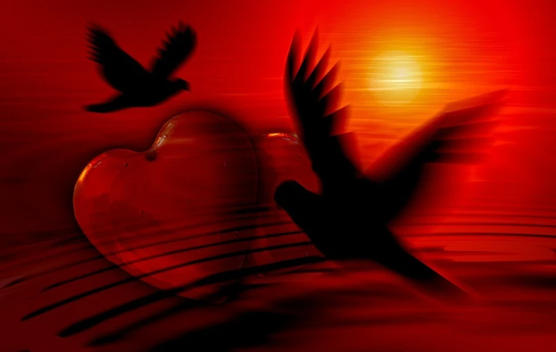 a bird that is flying over a heart, by Matt Stewart, trending on pixabay, digital art, red sun over paradise, shades of red, right side composition, doves